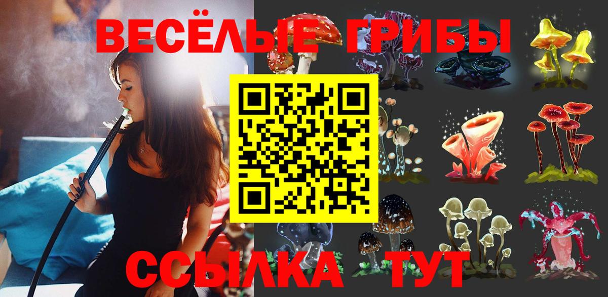 Псилоцибиновые грибы MAGIC MUSHROOMS Киреевск